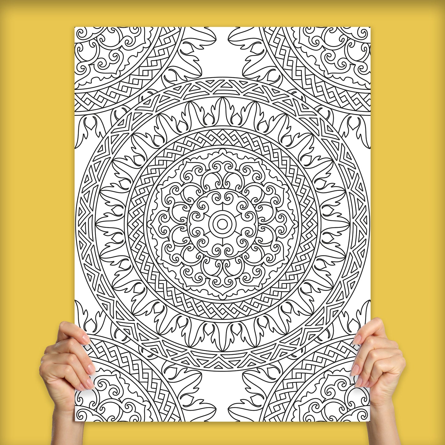 Traditional Pattern Mandala Adult Coloring Poster | 18" x 24"
